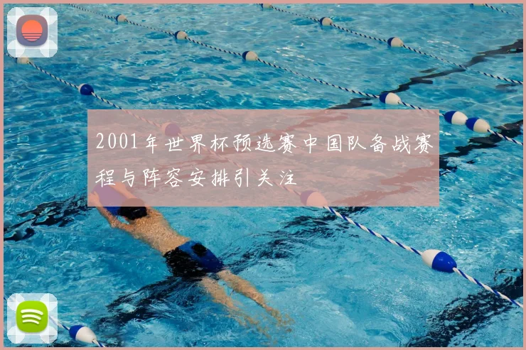 2001年世界杯预选赛中国队备战赛程与阵容安排引关注